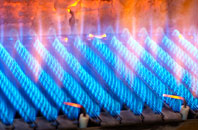 Halton gas fired boilers